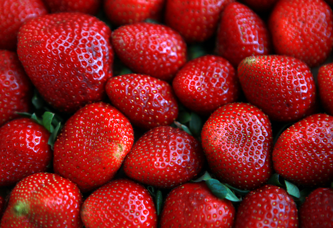 Fresas