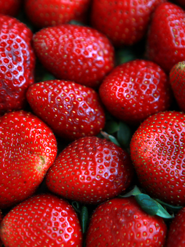 Fresas