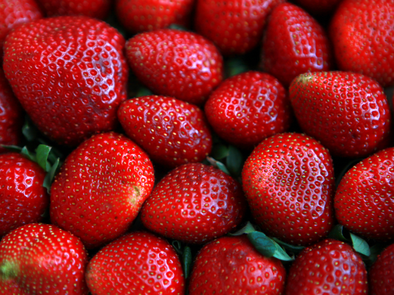 Fresas