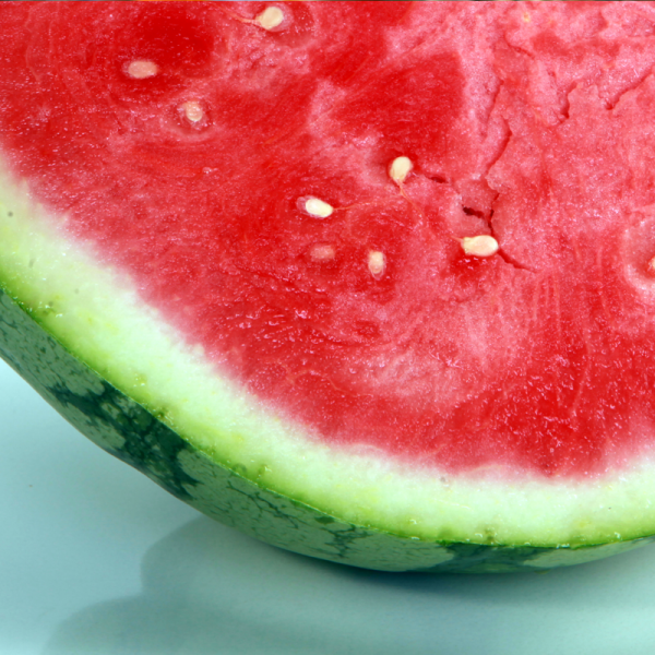 Sandia